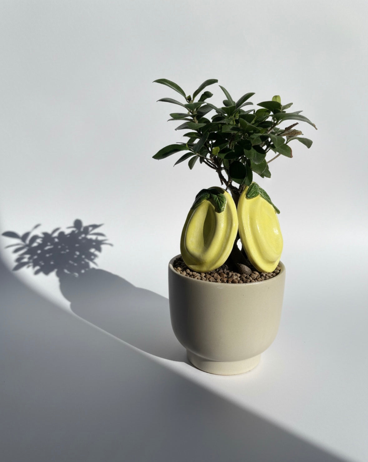 lemon-shaped spoon rests